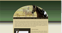Desktop Screenshot of flyingzstables.net